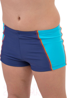 Плавки детские Aloha Mare G20-0046 (р.6 рост 110-116, темно-синий/голубой)