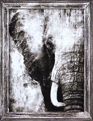 Картина Декарт Слон в черно-белых тонах 8Л3699  (в раме)