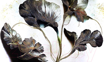 Картина Декарт Черно-белая цветочная композиция 8Л3771 (в раме)