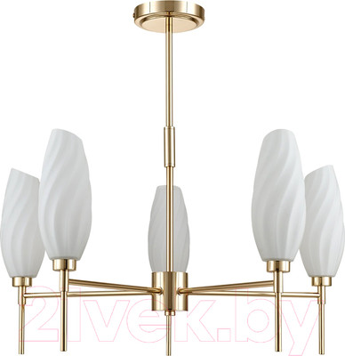 Люстра Lumion Shivon 6518/5C