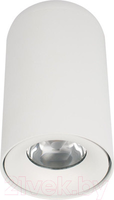 Потолочный светильник Loftit Tictac 3000K / 10220 (белый)