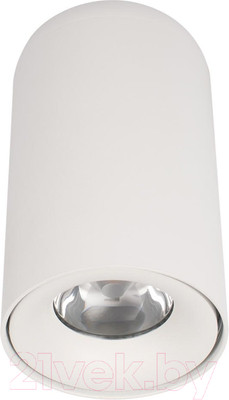 Потолочный светильник Loftit Tictac 4000K / 10220 (белый)