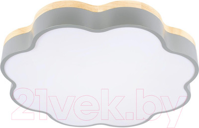 Потолочный светильник Loftit Axel 10225/36 (Grey)