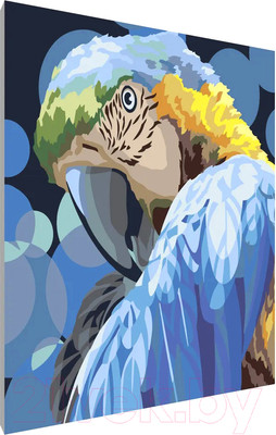 Картина по номерам PaintLine Попугай / 2037283452163