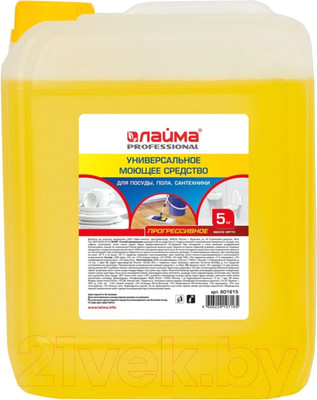 Универсальное чистящее средство Laima Professional 601615 (5кг)