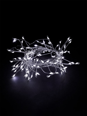 Светодиодная гирлянда TDM SQ0361-0200