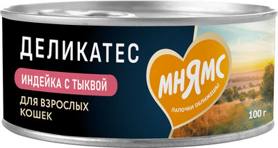 Влажный корм для кошек Мнямс Индейка с тыквой Паштет по-оксфордски / 176670 (100г)