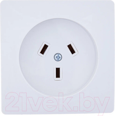 Розетка Lezard Vesna 715-1201-620