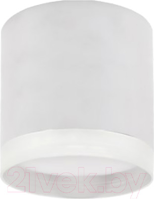 Потолочный светильник INhome НПБ ЦИЛИНДР-GX53-EL-WH / 4690612046334