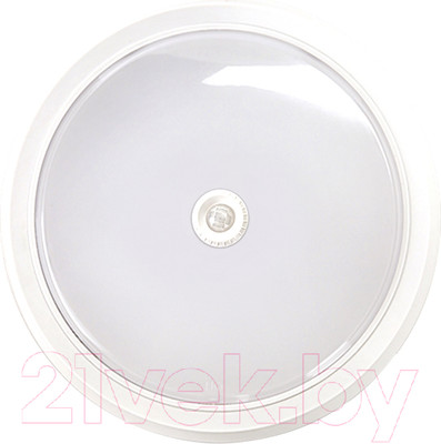 Светильник ЖКХ INhome СПБ-2Д-Круг / 4690612020709