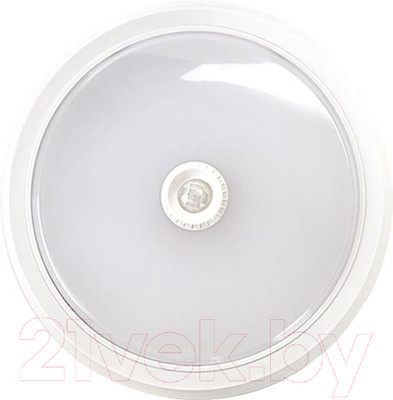 Светильник ЖКХ INhome СПБ-2Д-Круг / 4690612020686
