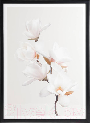 Картина Eglo Roberval 423086