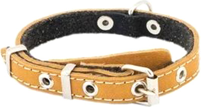 Ошейник Homepet 15мм 22-35см / 84027 (янтарь)