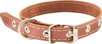 Ошейник Homepet 15мм 28-38см / 77818 (коричневый)
