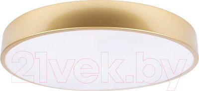 Потолочный светильник Loftit Flims 10228/A