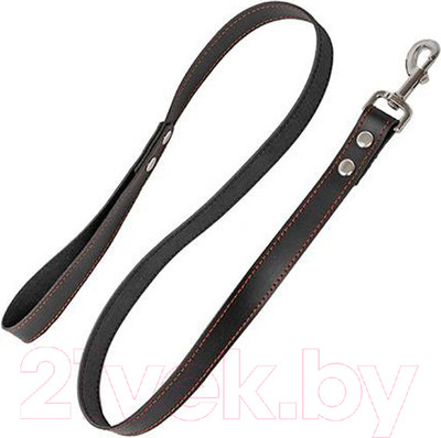 Поводок Homepet 25мм 120см / 75920 (черный)