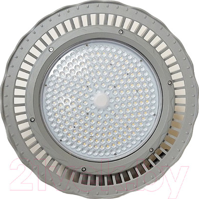 Светильник уличный Belsvet Parida 20200LM 1X150W 4000К OMS / 2750559