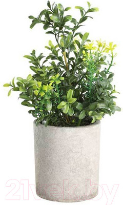 Искусственное растение Eglo Chitose 428025 (пластик, коричневый/зеленый)