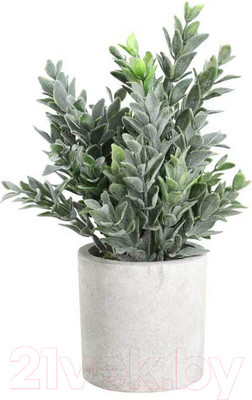 Искусственное растение Eglo Chitose 428027 (пластик, коричневый/зеленый)