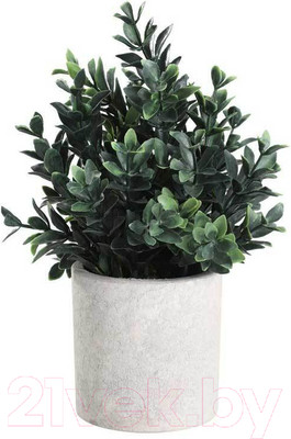 Искусственное растение Eglo Chitose 428028 (пластик, коричневый/зеленый)