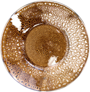 Тарелка столовая глубокая No Brand Tvist Madeira / фк6104 (коричневый)