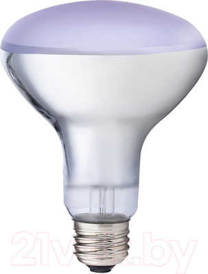 Лампа для террариума Mclanzoo Daytime Frosted 75Вт / 8622023/MZ (матовый)