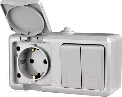 Блок выключатель+розетка Tokov Electric ОП Dita / TKL-DT-V2RZ-C06-IP54