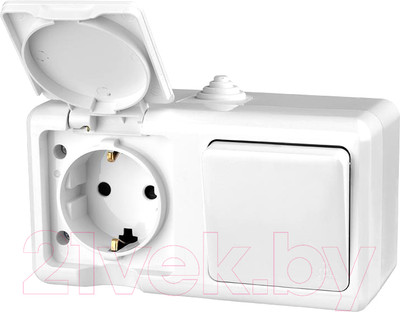 Блок выключатель+розетка Tokov Electric ОП Dita / TKL-DT-V1RZ-C01-IP54