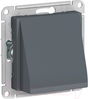 Вывод кабеля Systeme (Schneider) Electric AtlasDesign ATN000799