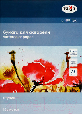Набор бумаги для рисования ГАММА Студия / 30C03F715W (15л)