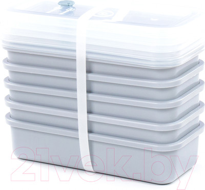 Набор контейнеров Полесье №22 750мл с крышками / 73683 (5шт, дымчатый/прозрачный)