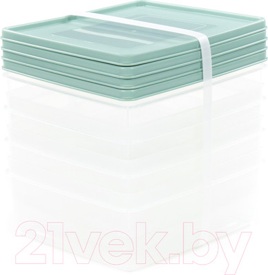 Набор контейнеров Полесье №13 2л с крышками / 73713 (4шт, прозрачный/бледно-оливковый)