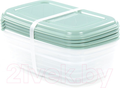 Набор контейнеров Полесье №40 1.6л с крышками / 73782 (4шт, прозрачный/бледно-оливковый)