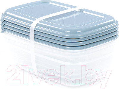 Набор контейнеров Полесье №40 1.6л с крышками / 73799 (4шт, прозрачный/серо-голубой)
