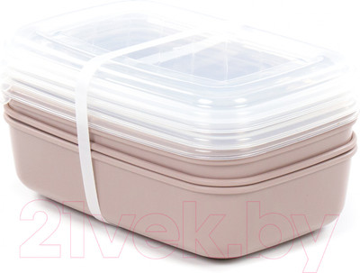 Набор контейнеров Полесье №40 1.6л с крышками / 73805 (4шт, темно-кремовый/прозрачный)