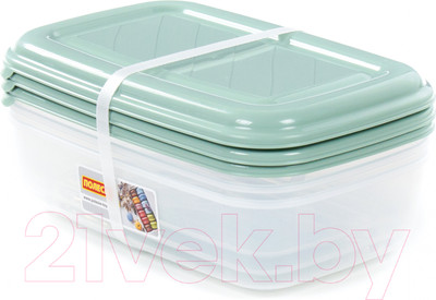 Набор контейнеров Полесье №41 2.7л с крышками / 73843 (3шт, прозрачный/бледно-оливковый)