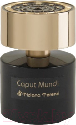 Парфюмерная вода Tiziana Terenzi Caput Mundi Parfum (100мл)