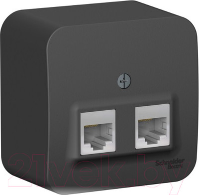 Розетка Systeme (Schneider) Electric Blanca BLNIA045456