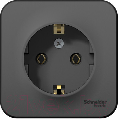 Розетка Systeme (Schneider) Electric Blanca BLNRA010116