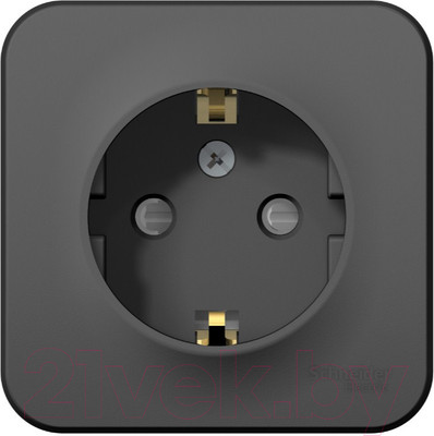 Розетка Systeme (Schneider) Electric Blanca BLNRA011116