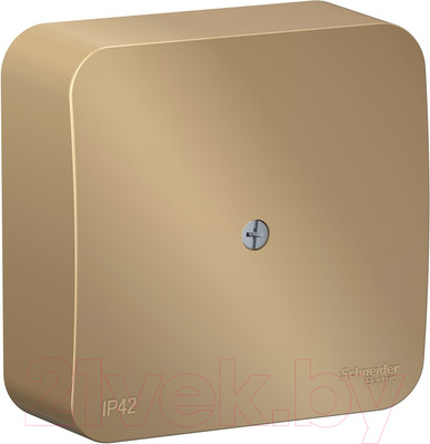 Коробка распределительная Systeme (Schneider) Electric Blanca BLNRK000014