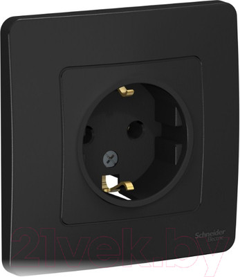 Розетка Systeme (Schneider) Electric Blanca BLNRS001016