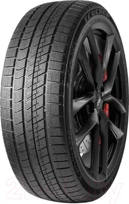 Зимняя шина Tracmax X-Privilo S360 205/65R15 99T