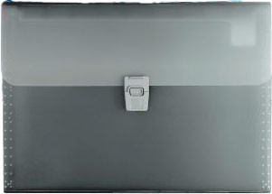 Папка для бумаг Brunnen Fact / 20 240 80 (серый)