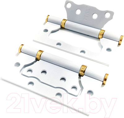 Комплект петель дверных Ренц IN100-2BB FH SW/PB без ВР (2шт, супер белый/латунь блестящая)