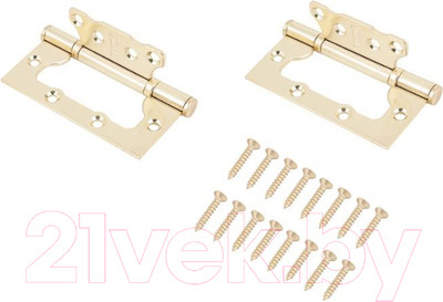 Комплект петель дверных Ренц IN100-2BB FH SB без ВР (2шт, латунь матовая)