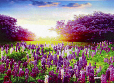 Набор алмазной вышивки Darvish Цветочное поле / DV-9518-2