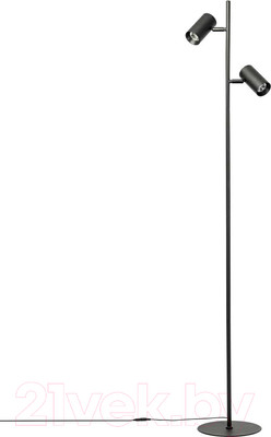 Торшер Citilux Twin CL809011N