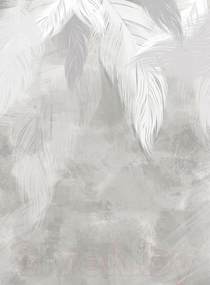 Фотообои листовые Vimala Перья на бетоне 3 (270x200)