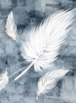 Фотообои листовые Vimala Перья на стене (270x200)